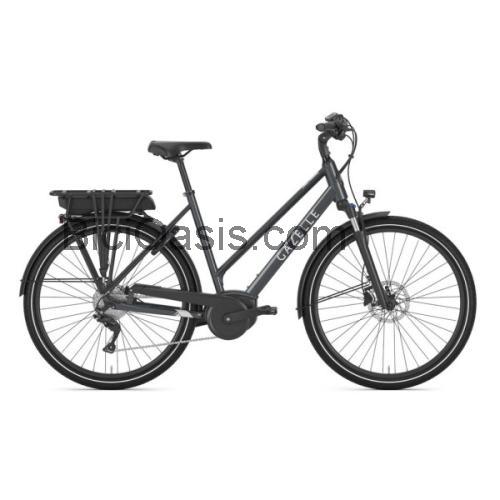 Gazelle Medeo T9 HMB ficha técnica y opiniones